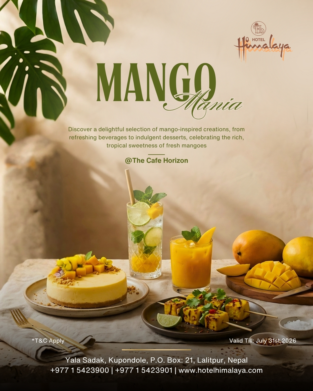 Mango Mania
